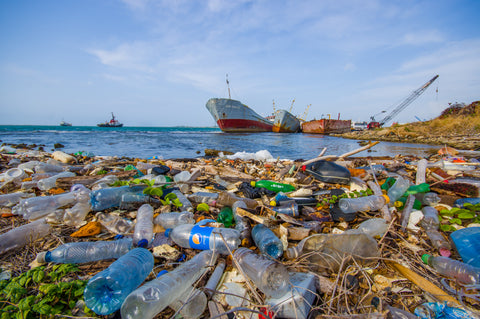 plastic pollution in the ocean